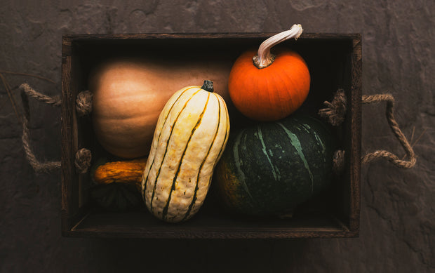 <h3>FALL COLLECTION</h3>