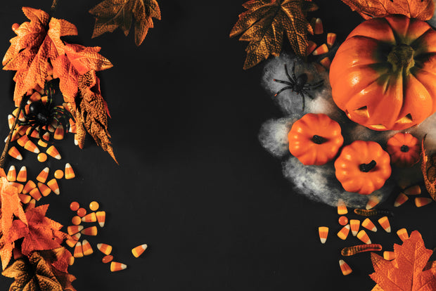 <h3>Halloween Collection</h3>